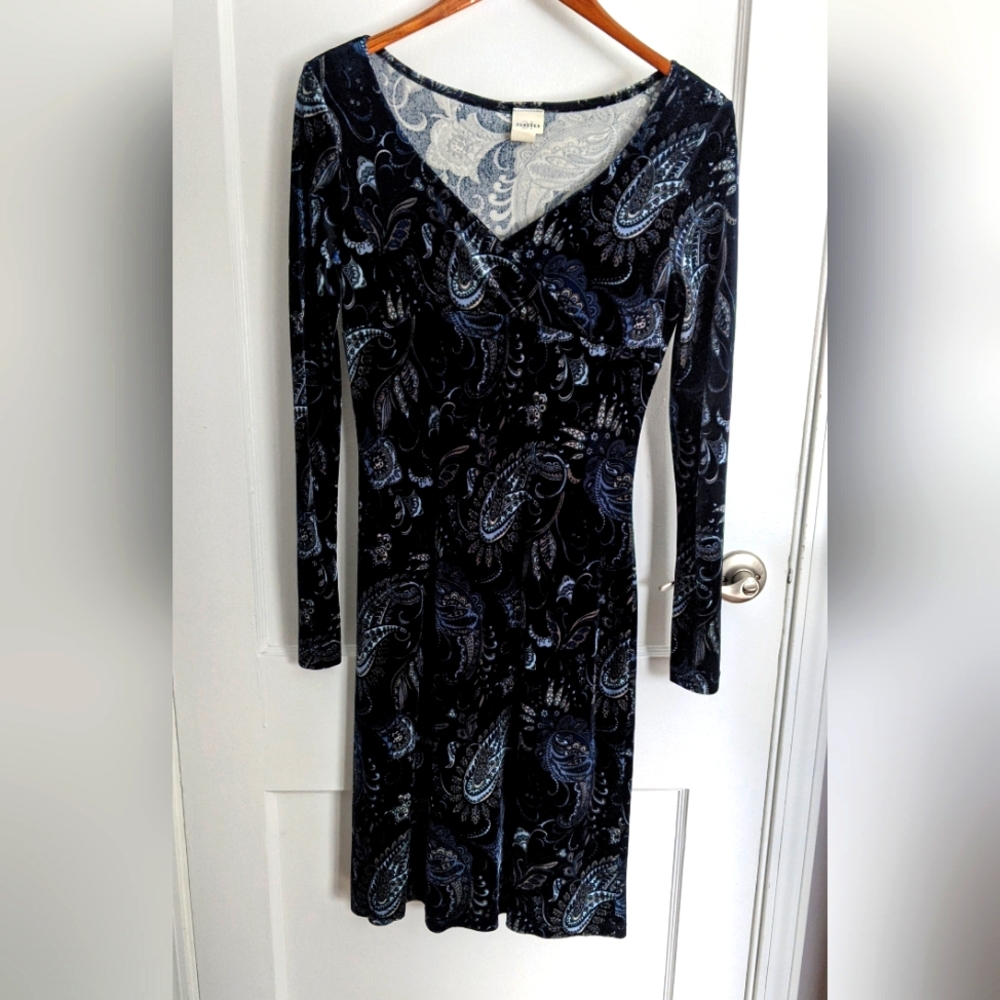 Velvet long sleeve dress